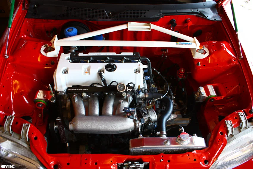import-alliance-01.webp