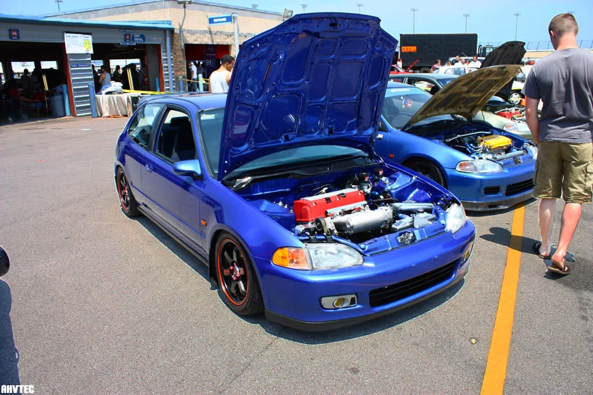 import-alliance-02.webp
