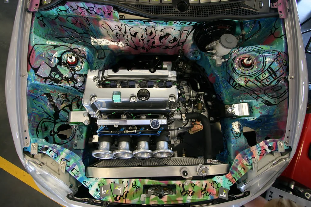 import-alliance-04.webp