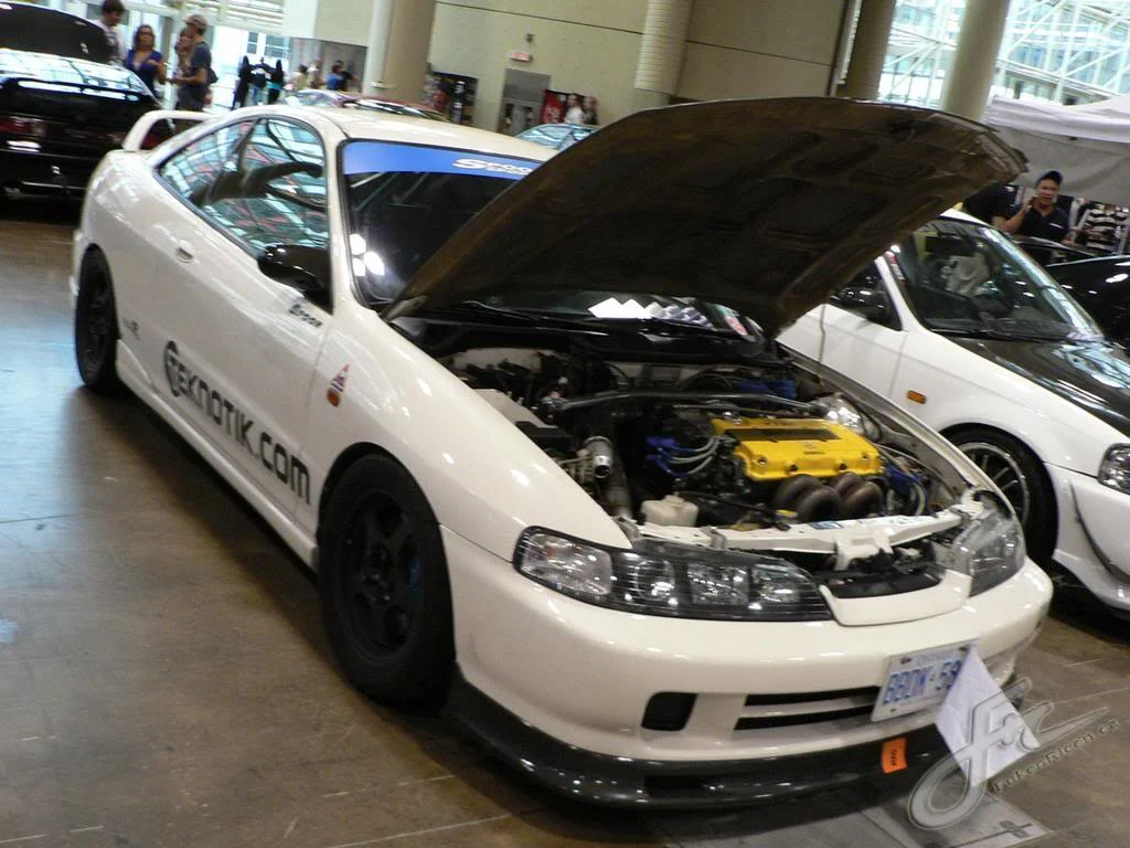 importfest2008fall111.webp