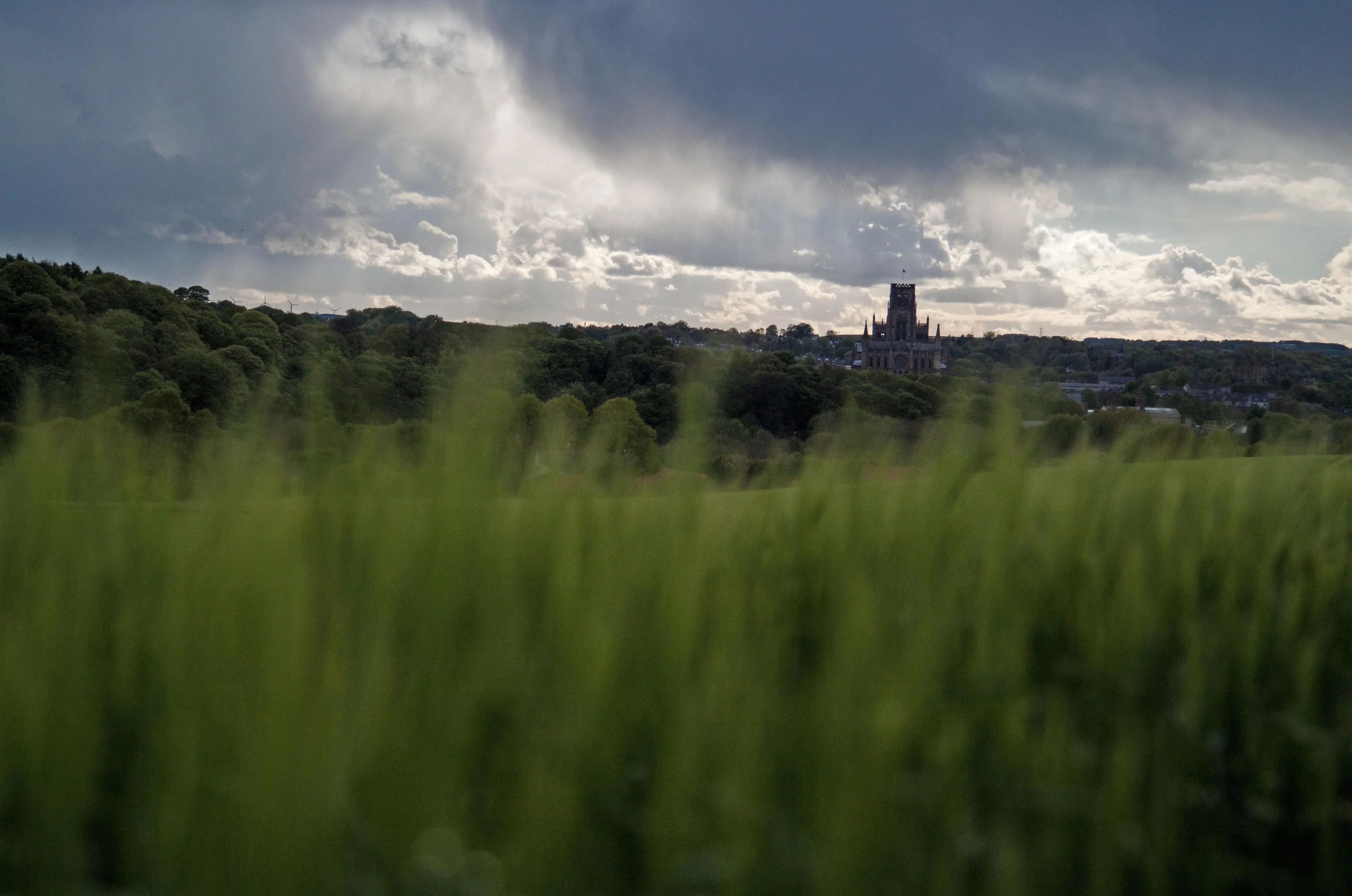 In the Fields 3.webp
