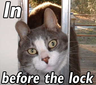 in_before_the_lock.jpg