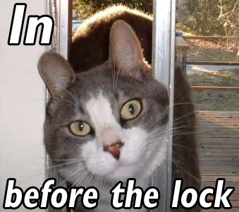 in_before_the_lock.webp