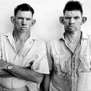 inbred.webp