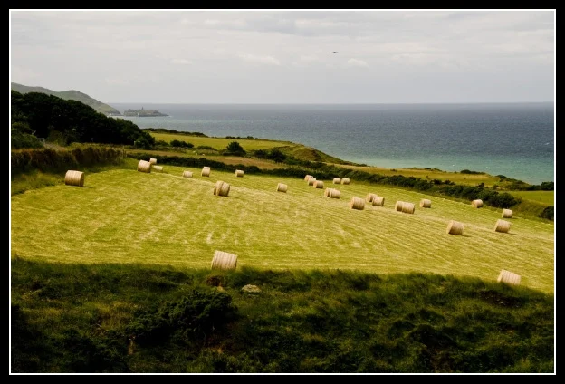 iom09j.webp