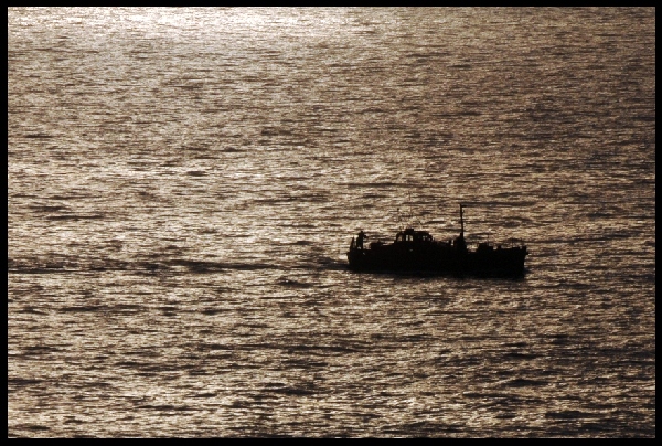 iom10_03.jpg