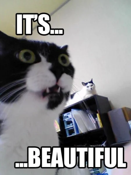 its_beautiful.webp