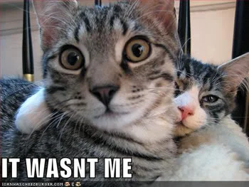 itwasntme-thumb.webp