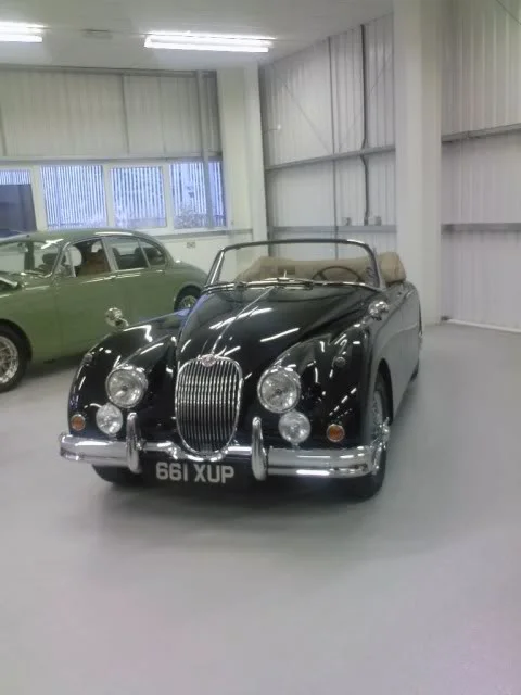 jag2.webp