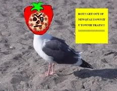 jowdx.webp