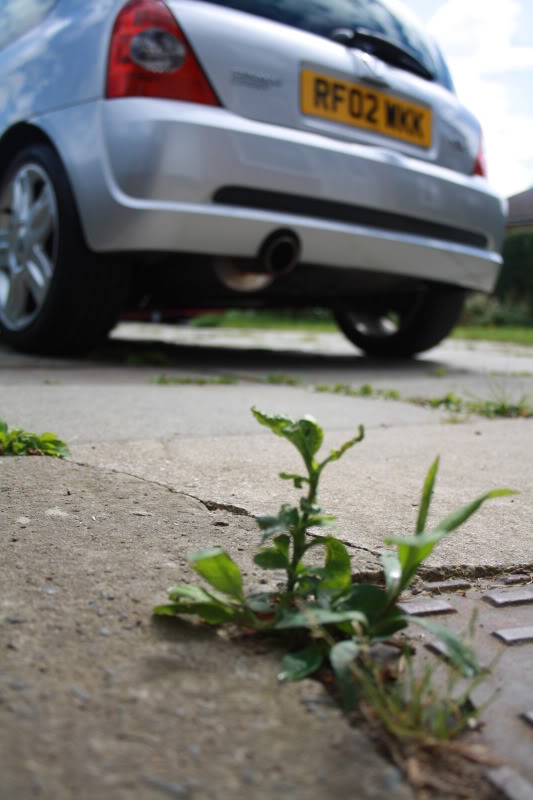 JulyAug2010058.jpg