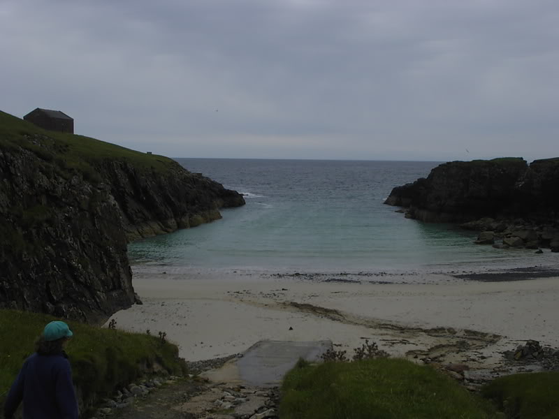 KIF_0983.jpg