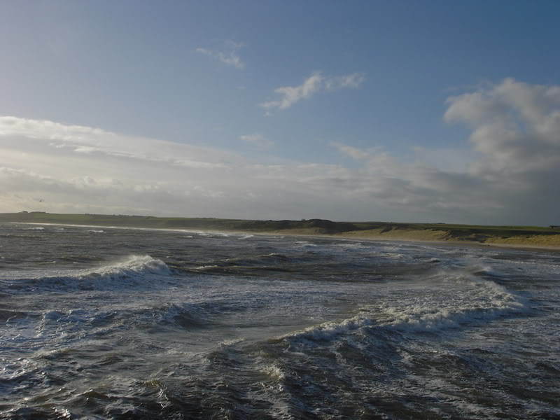 KIF_1341.jpg