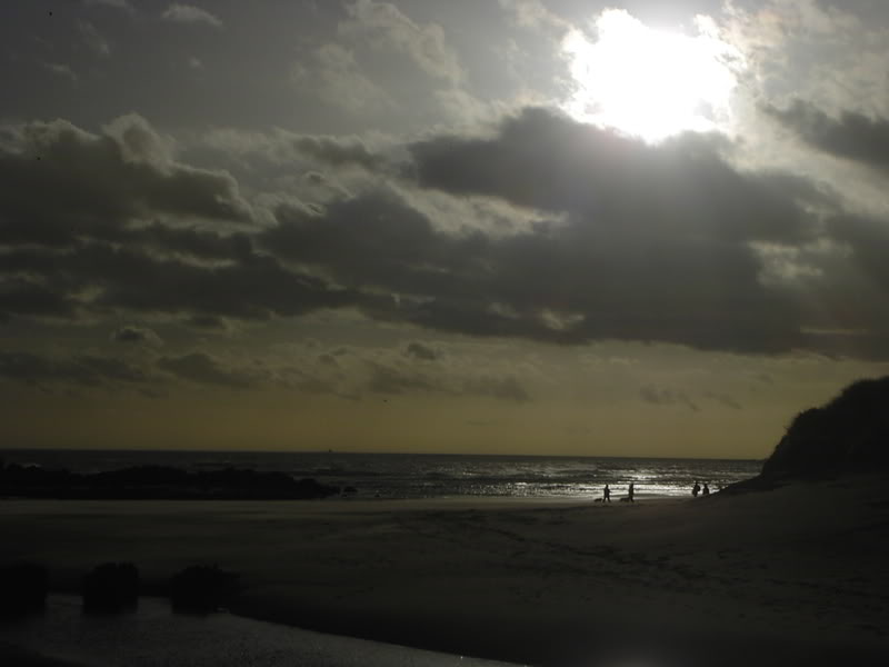 KIF_1359.jpg