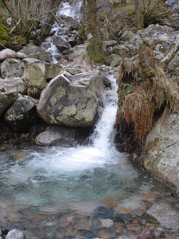 KIF_1442.jpg