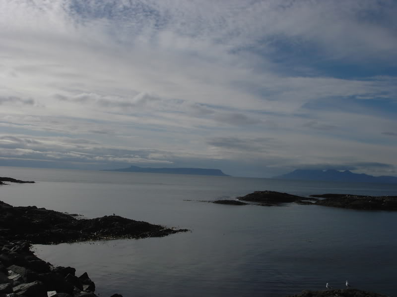 KIF_1465-1.jpg