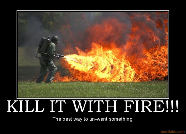 kill-it-with-fire-demotivational-poster-1235695993.jpg