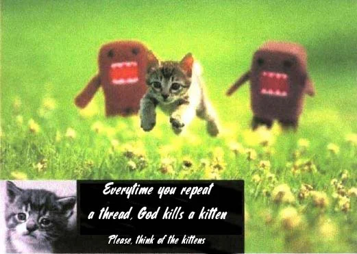 kittens.webp