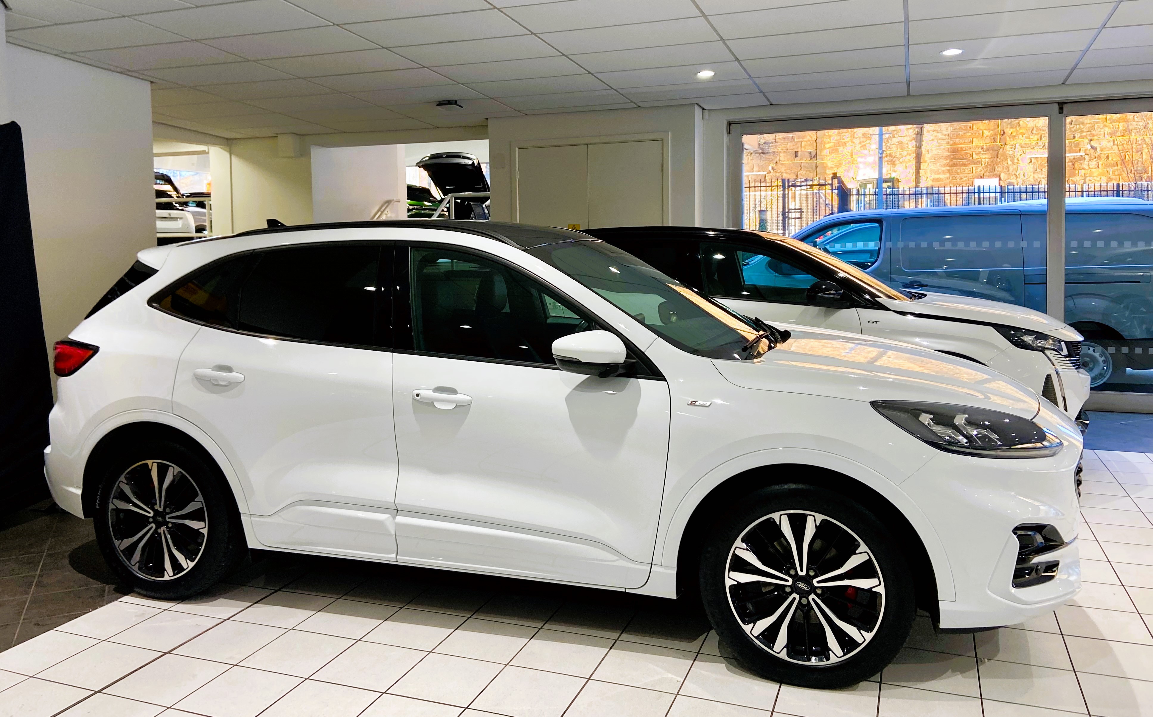 kuga1.jpg