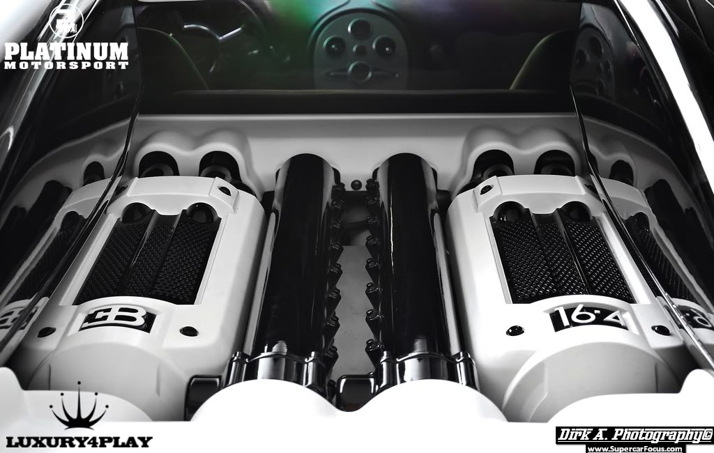 L4PBUGXPLATINUMMOTORSPORT6.jpg