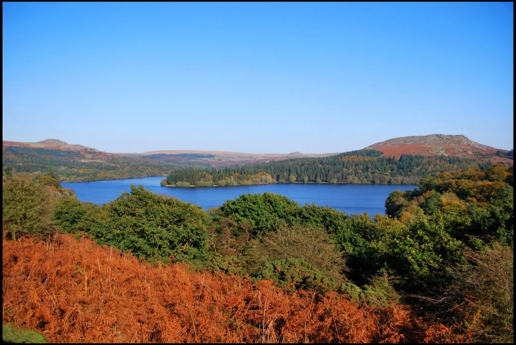Lake.webp