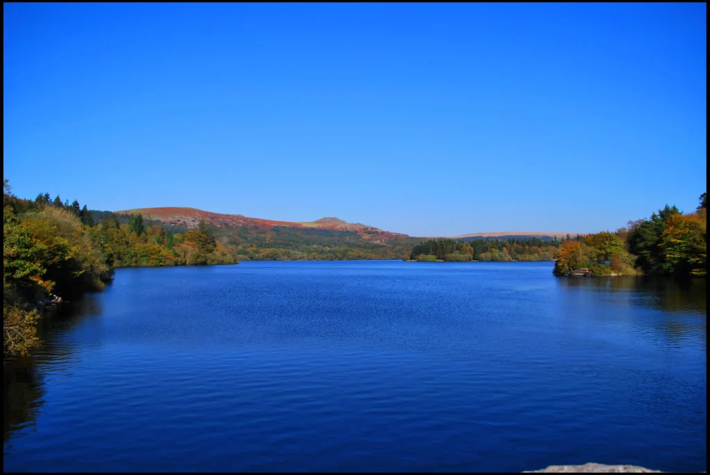 Lakeview.webp