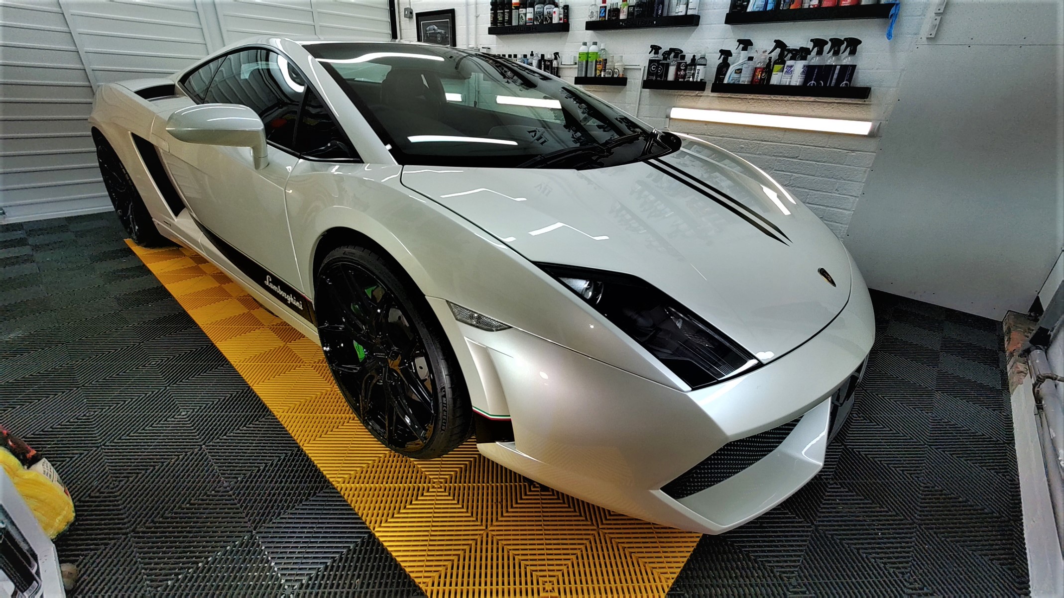 Lambo.jpg