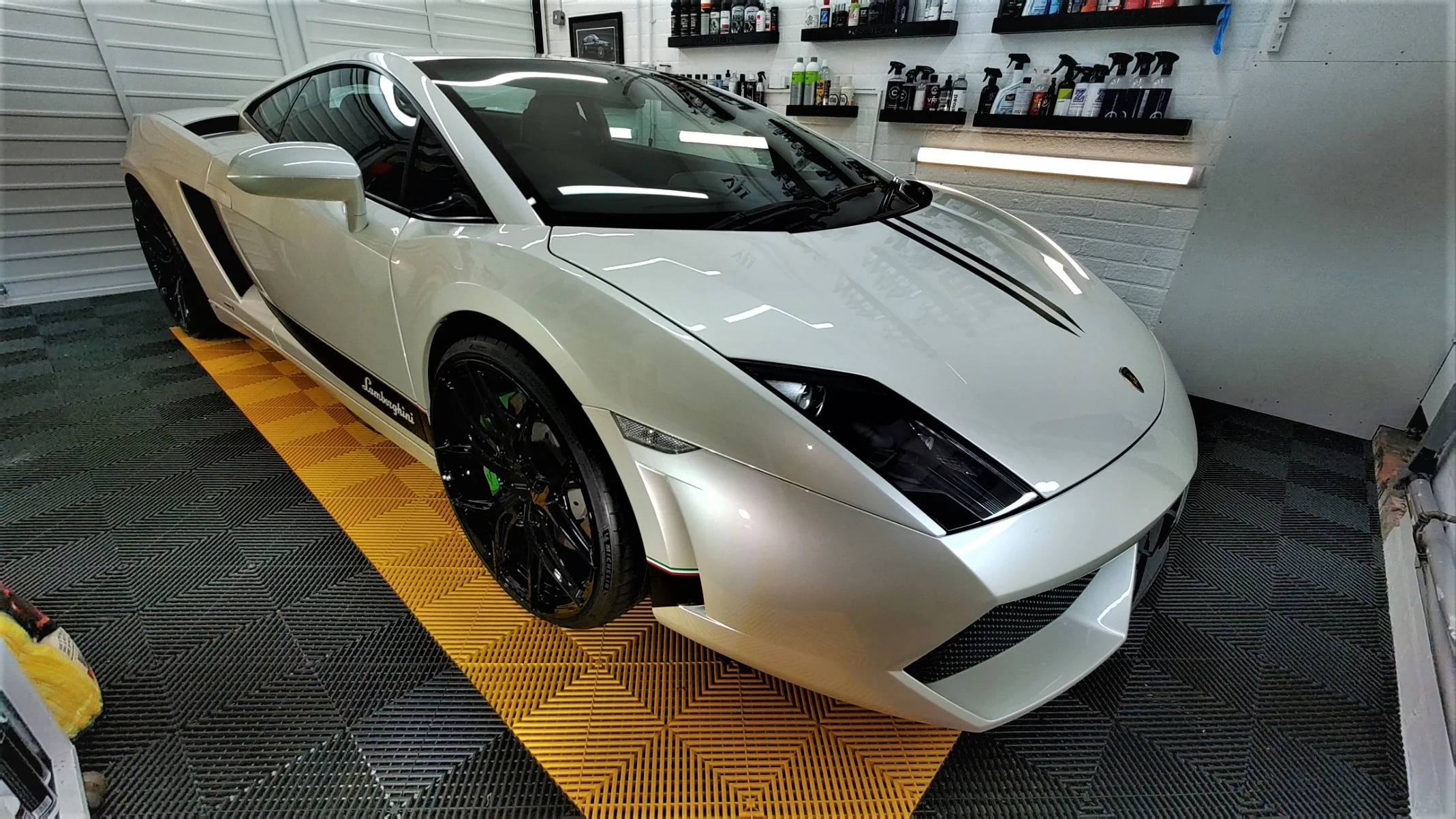 Lambo.webp
