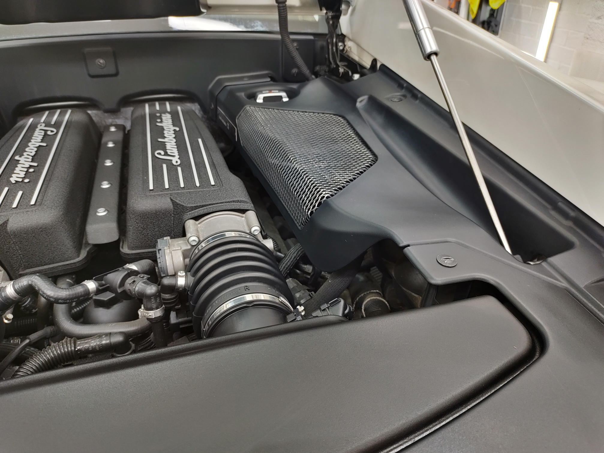 LAMBO26.jpg