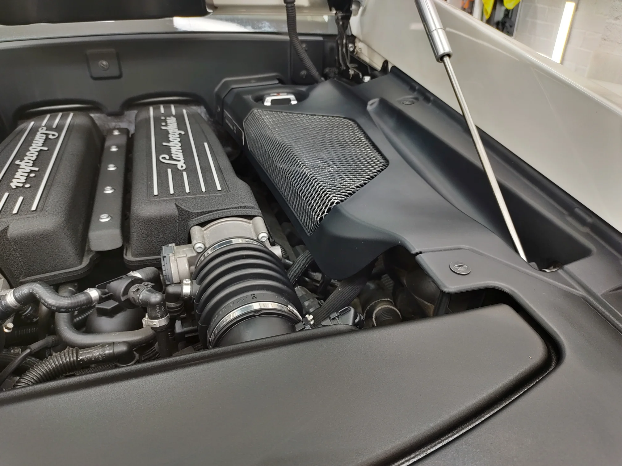 LAMBO26.webp