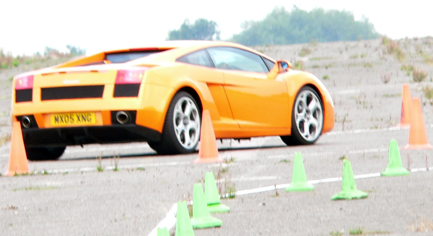 Lambo5small.jpg Lambo5small.jpg