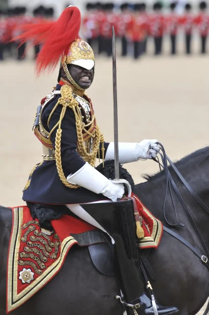 LAND-2010-081-TroopingtheColour--3.webp
