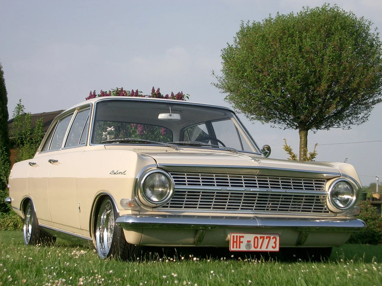 Laurin_Ostern_April_2009_und_Rekord_A_103.webp