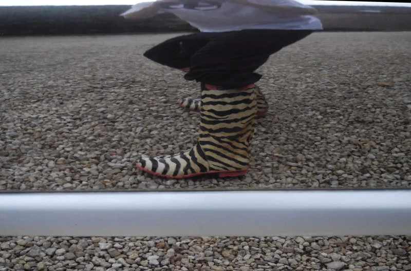 Lebra_Refelection_by_tez180.webp