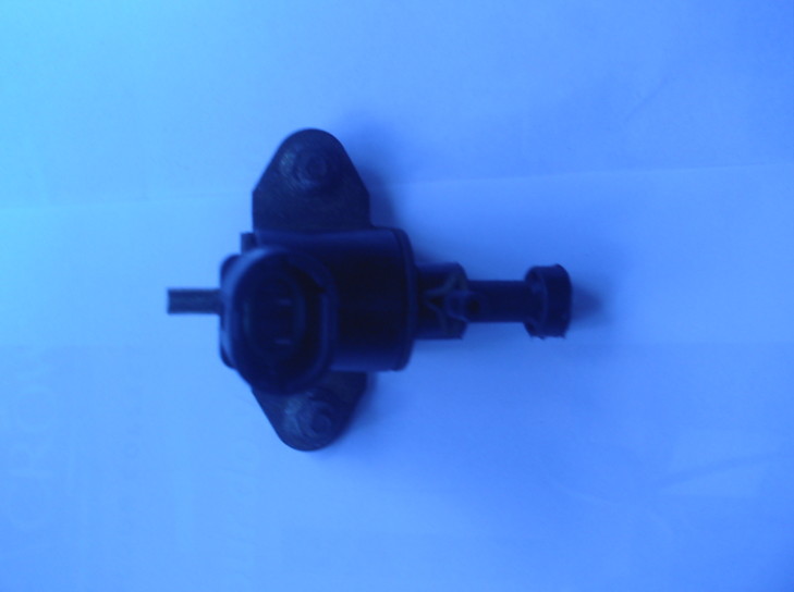 leon_siPic013.jpg