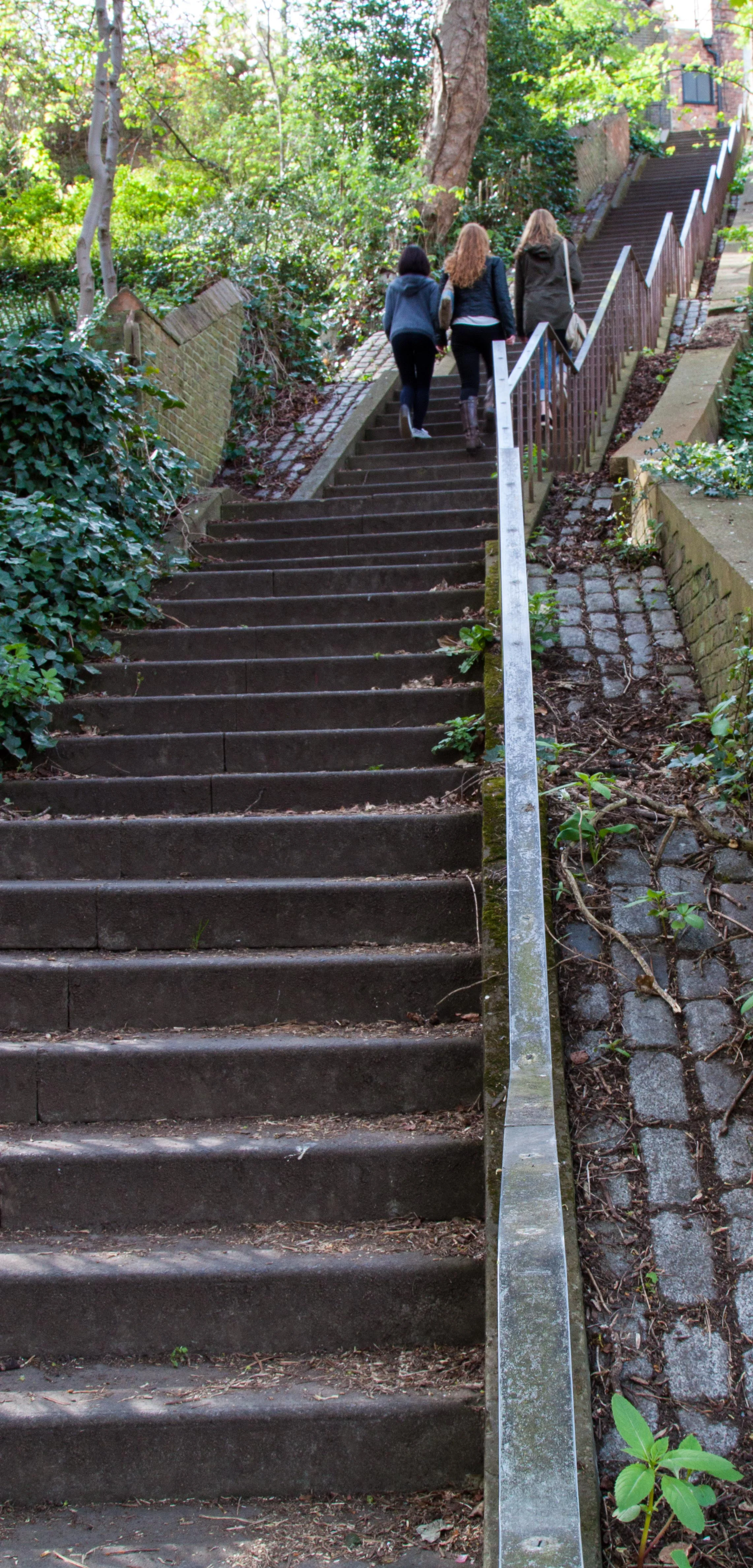 Line up the Stairs.webp