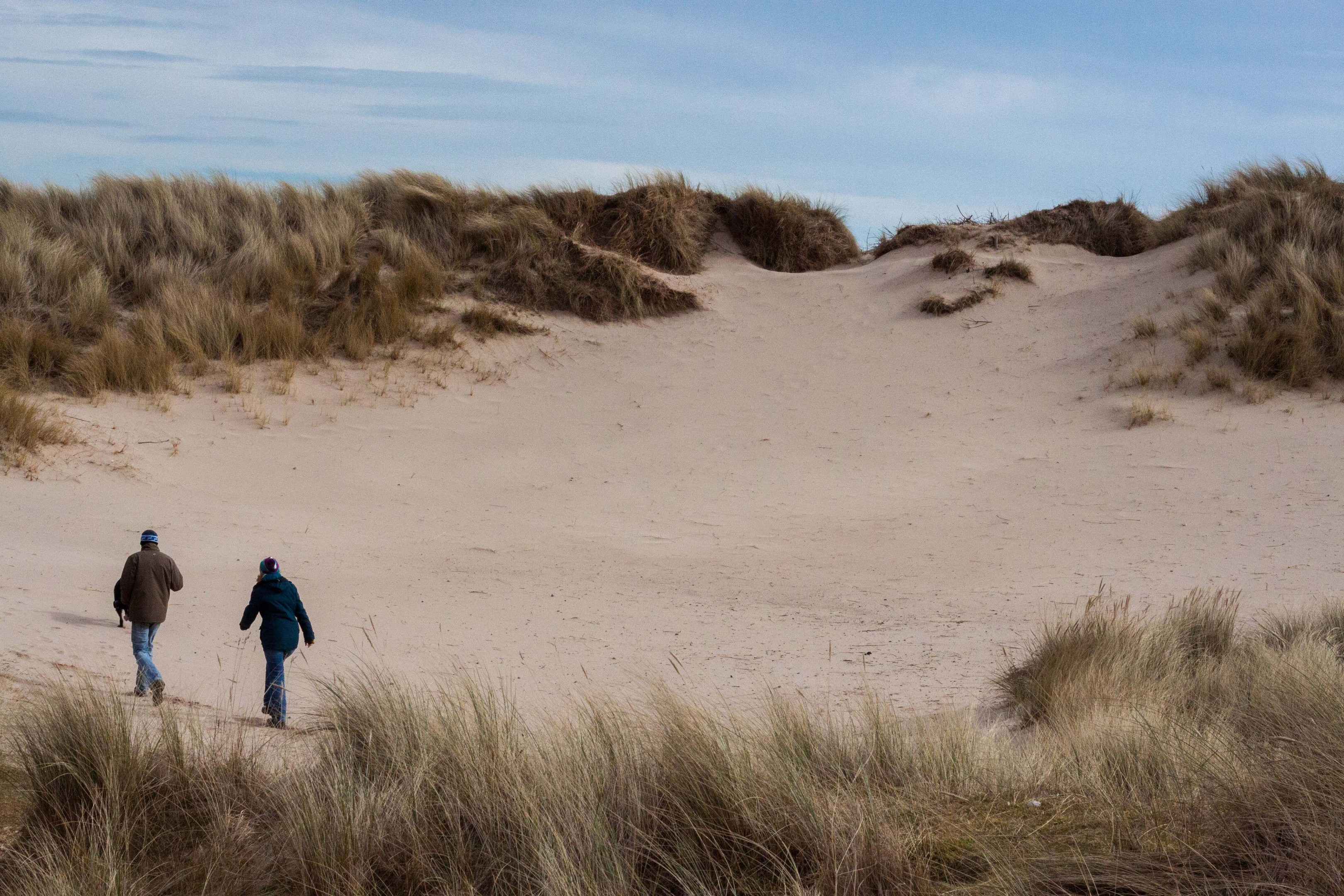 Little Walk in the Sand Dune.jpg
