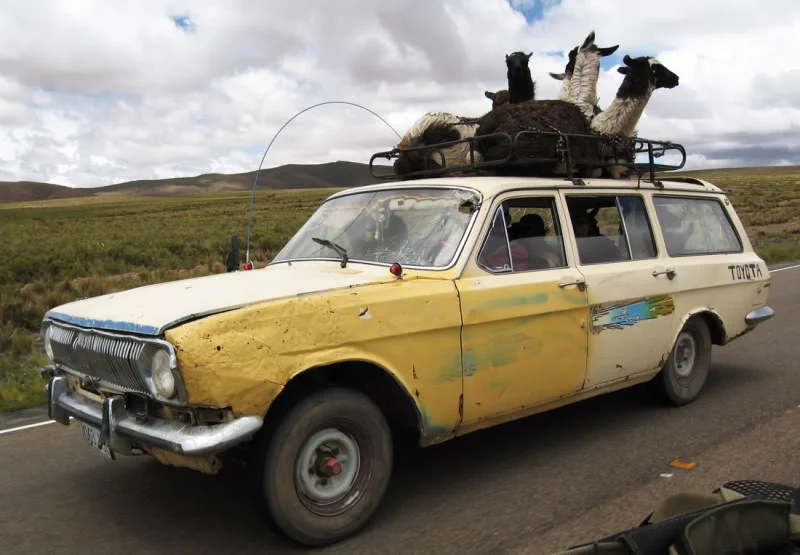 llama_car_1_.webp