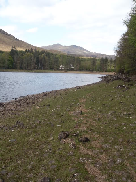 LochDochart11.jpg