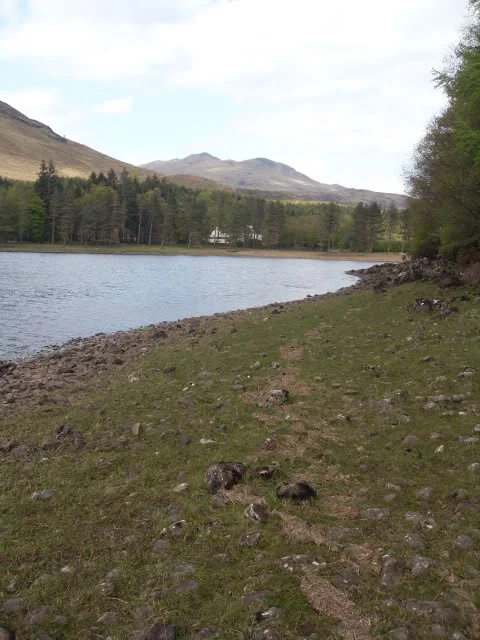 LochDochart11.webp
