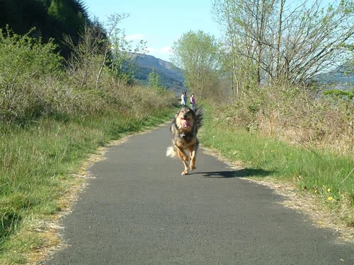 LochLomond-190409-22.webp