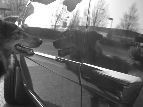 LochLomond-190409-55.webp