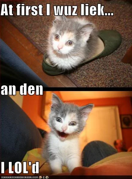 lolz.webp