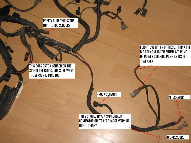 loomlabelled.webp