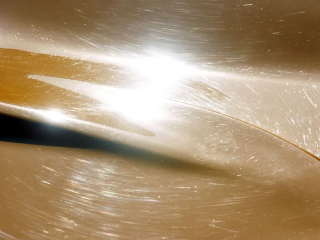 Lotuspredetail006.webp