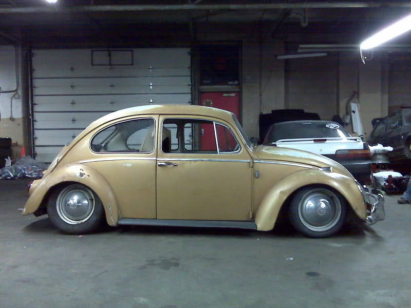 lowbeetle5.jpg