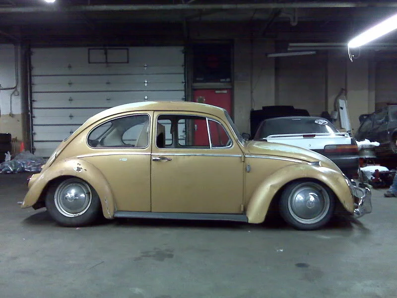 lowbeetle5.webp
