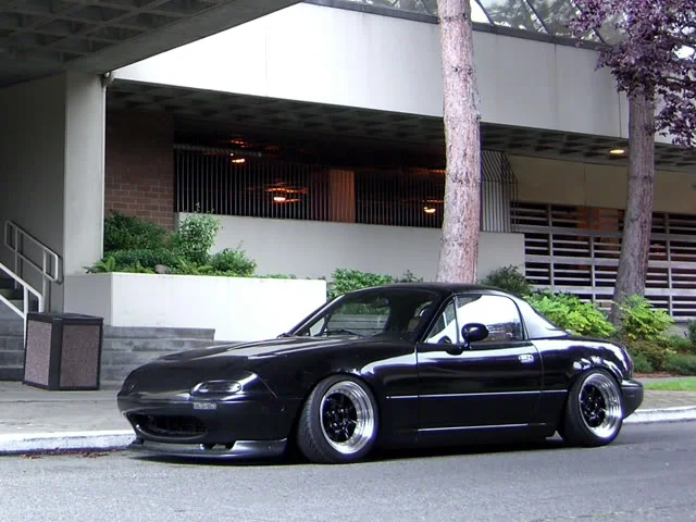 lowlow01-1.webp