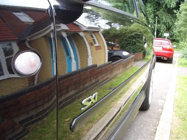 LS.webp