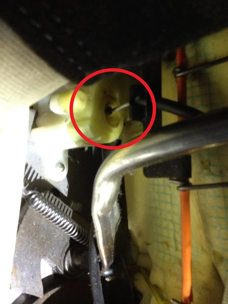 Lumbarcloseup.webp